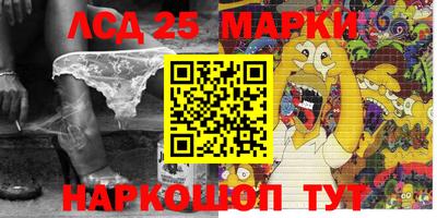 гашик Берёзовский