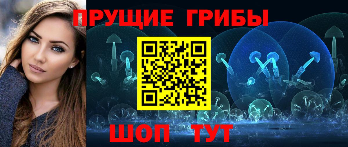 Галлюциногенные грибы Psilocybine cubensis Кемерово
